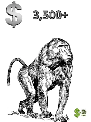 Baboon-cost