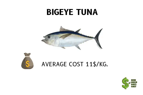 Bigeye tuna cost per kg