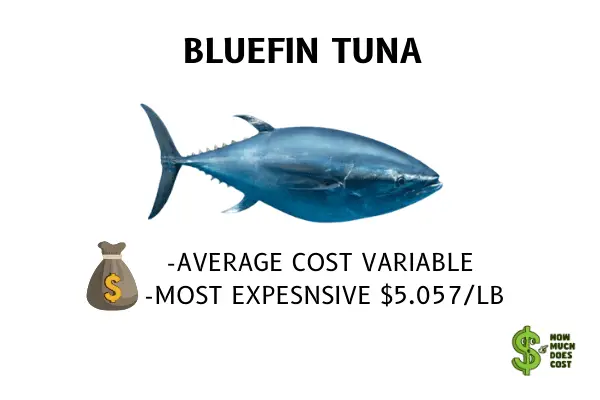 Bluefin tuna cost 