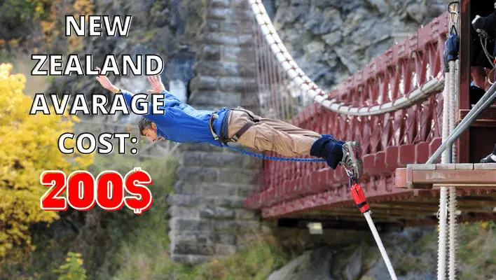 new zealand BUNGEE jumping cost around 200$
