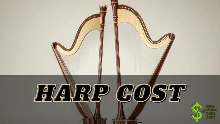 How much does a harp cost? The Ultimate Answer - How much does cost?