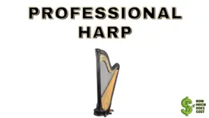 How much does a harp cost? The Ultimate Answer - How much does cost?
