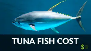 TUNA FISH COST