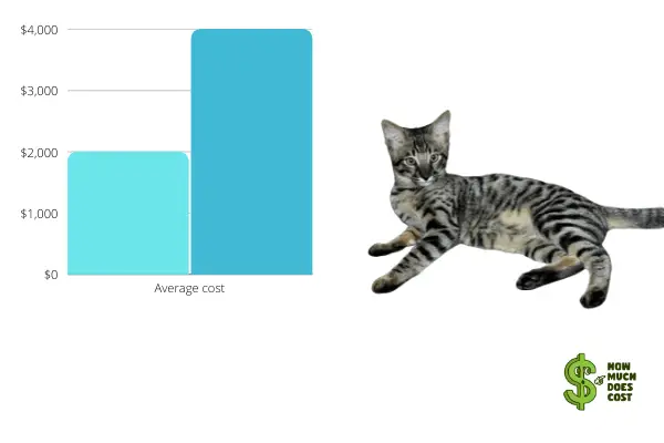 f-3 cat average cost chart
