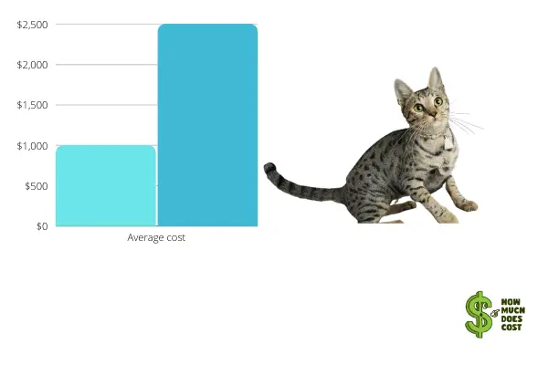 f4-cat-chart-cost