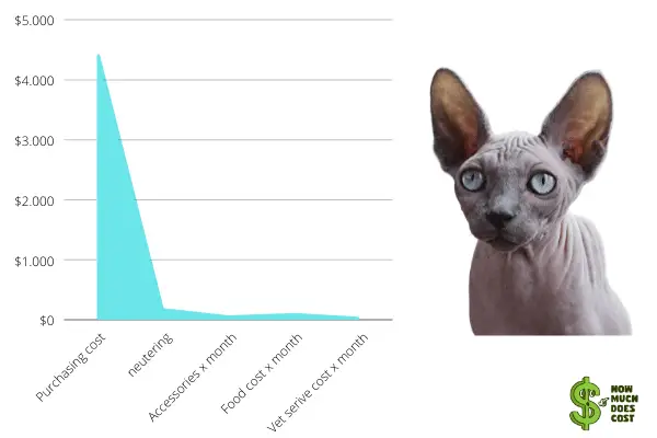 Sphynx adult cost chart