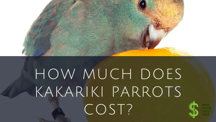 How Much Does Kakariki Parrots Cost? (in-depth) - How Much Does Cost?