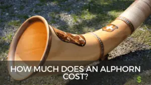 Alphorn cost