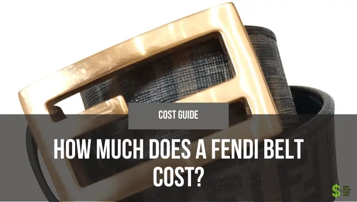 how-much-does-a-fendi-belt-cost-final-answer-how-much-does-cost