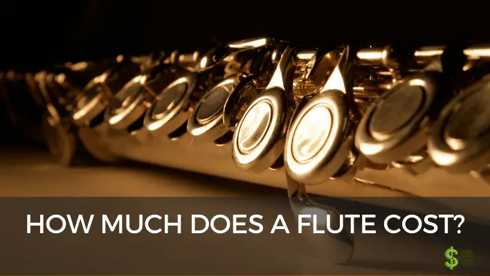 How Much Does A Flute Cost? (With Tables) - How much does cost?