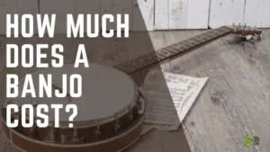 Banjo Cost