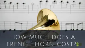 French Horn Cost