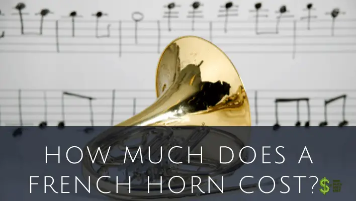 How Much Does A French Horn Cost In Depth How Much Does Cost 