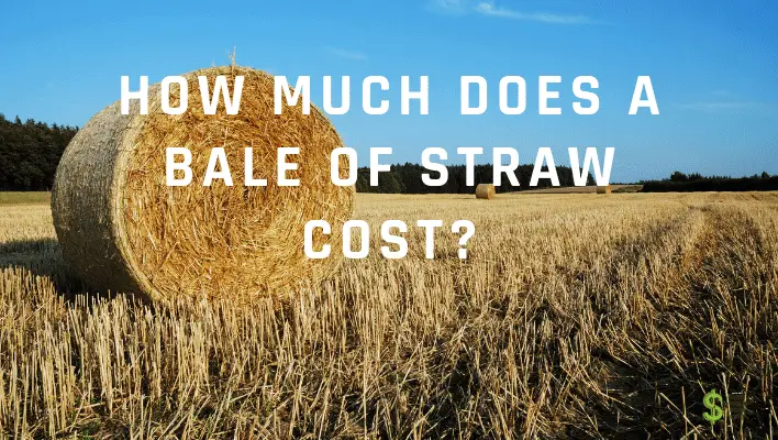 How Much Does A Bale Of Straw Cost?(Answered) - How Much Does Cost?