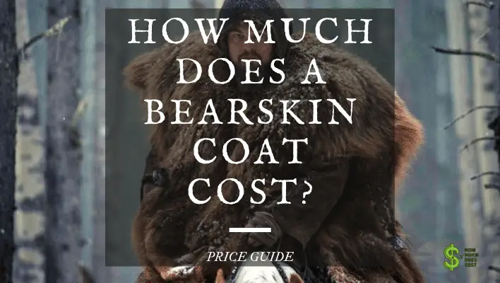 how-much-does-a-bearskin-coat-cost-in-depth-how-much-does-cost