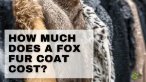 Fox Fur Coat cost