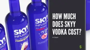 Skyy Vodka cost