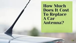 How-Much-Does-It-Cost-To-Replace-A-Car-Antenna