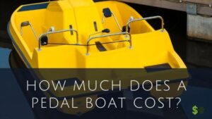 How Much Does a Pedal Boat Cost