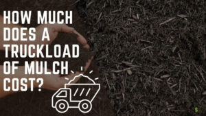 Truckload of Mulch Cost