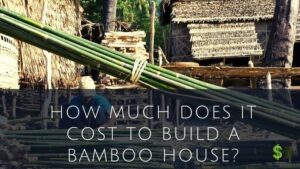 Bamboo House-Cost