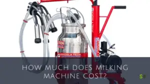 Milking Machine Cost