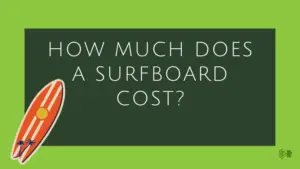 Surfboard Cost