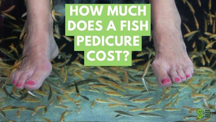 how-much-does-a-fish-pedicure-cost