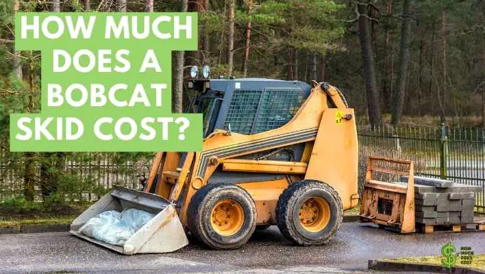 How Much Does a Bobcat Skid Cost? (By Models)