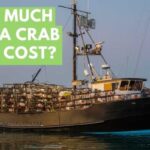 crab boat cost