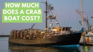 crab boat cost
