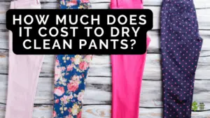 cost to Dry Clean Pants